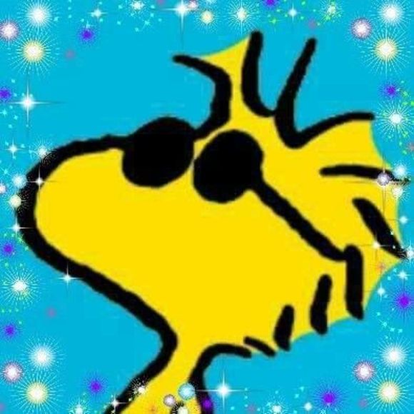 Meet your Posher, Ellen - Picture 1 of 1